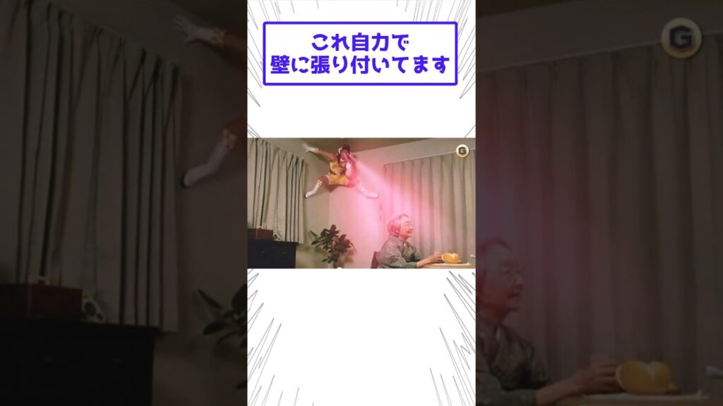 吉田沙保里伝説