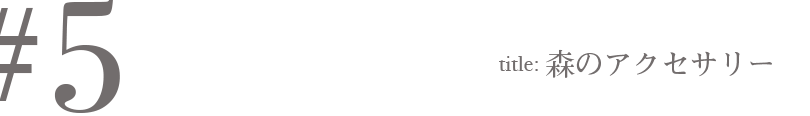 ＃5 Title:森のアクセサリー