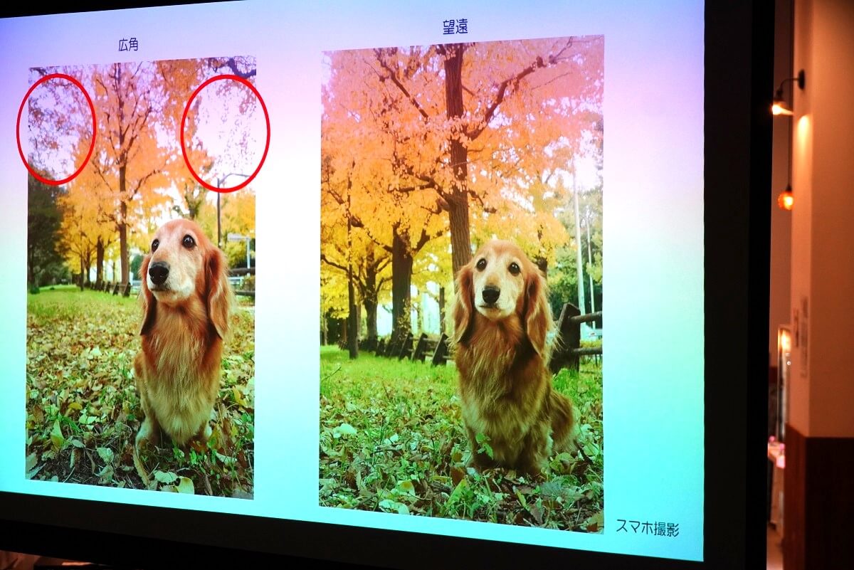 ハドソン＆レックス～セントジョンズ警察シェパード犬刑事