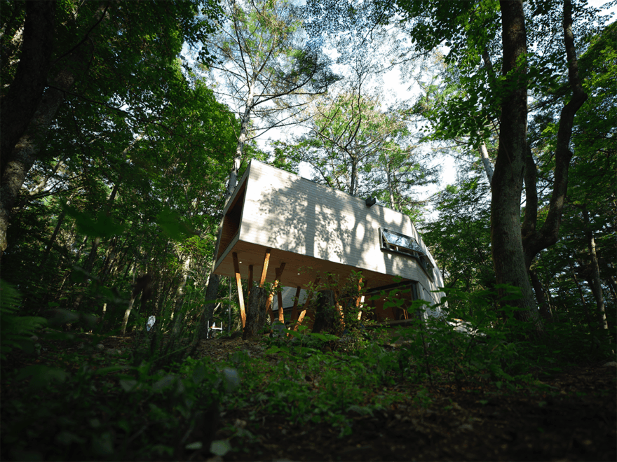 中島裕翔撮影　Title:surrounded by trees