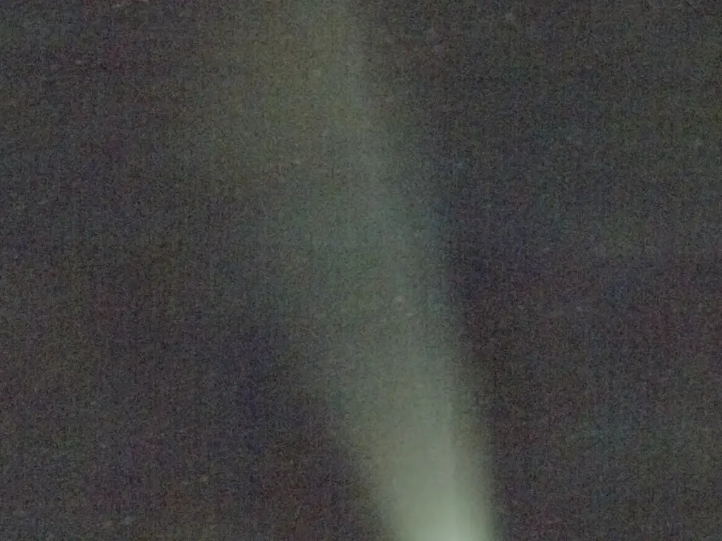 高校生が撮影したレモン彗星の写真