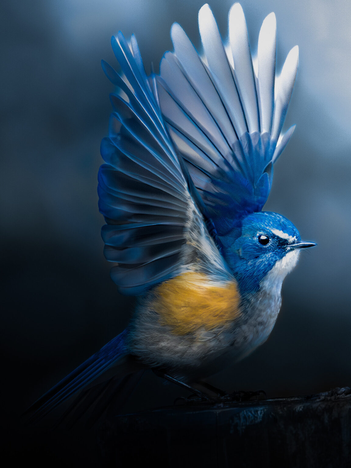 U-18部門作品がグランプリに決定/第73回ニッコールフォトコンテストの入賞作品が発表 – デジカメ Watch U-18部門作品がグランプリに決定/第73回ニッコールフォトコンテストの入賞作品が発表 - デジカメ Watch