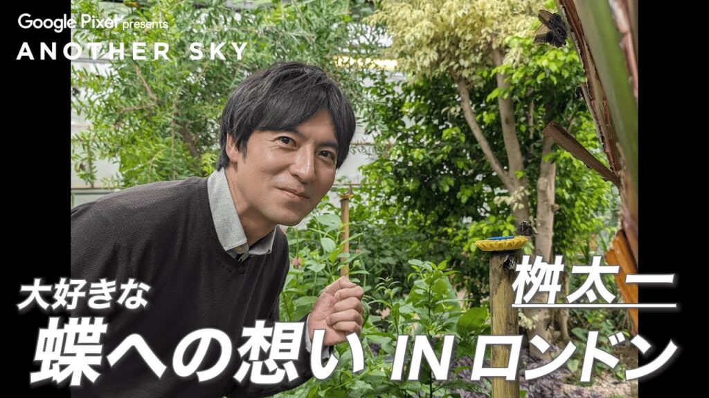 【地上波未公開】桝太一 大好きな蝶への想い IN ロンドン 【地上波未公開】桝太一 大好きな蝶への想い IN ロンドン