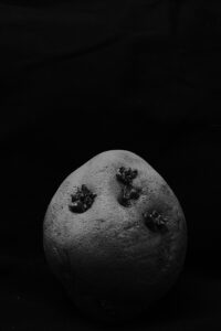 相原正明写真展:Katachi ~In&Out~ – デジカメ Watch 相原正明写真展:Katachi ~In&Out~ - デジカメ Watch