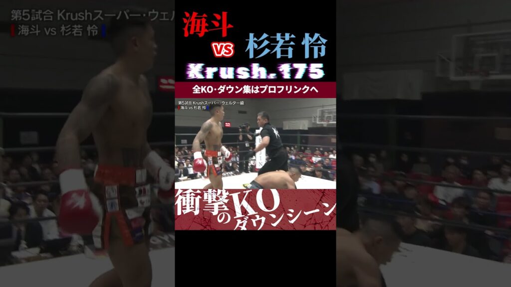 【Krush.175】迅速の蹴獣・海斗 vs 杉若 怜 KOシーン/next 2025.6.27.Krush.177 チケット好評発売中