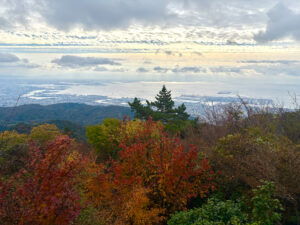 【ボーカリスト琴音の音楽旅】秋の神戸！　紅葉、異人館に六甲山、有馬温泉まで街並みも自然も楽しむ旅 - トラベル Watch