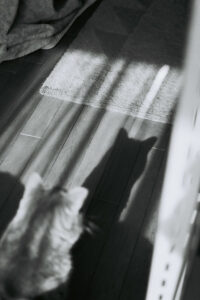 山本春花写真展：永遠より少し長い日 - デジカメ Watch