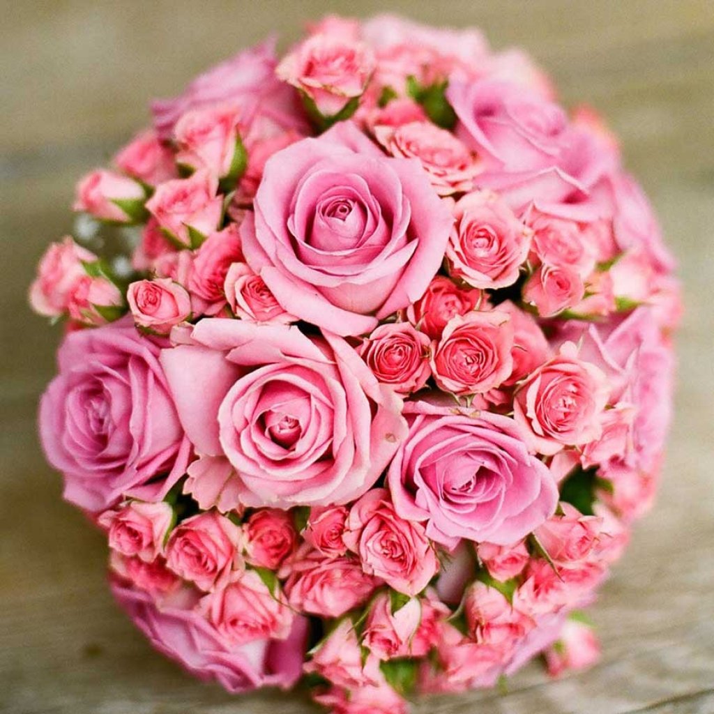 ジャパネットたかたMC→気象予報士転身の36歳『シューイチ』お天気キャスター、結婚を発表 お相手は「人生のほぐし水」「最強のゆるいお守りみたいな存在」 - オリコンニュース