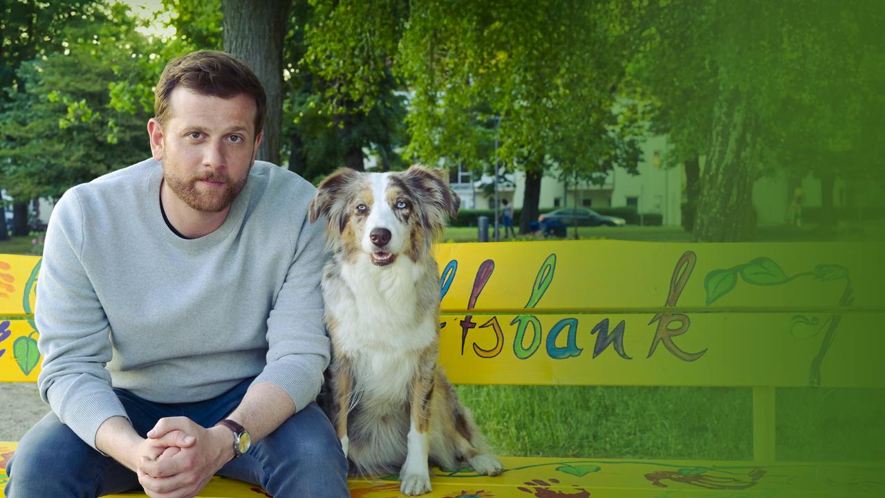 画像: 「ドクター・ドッグ 心を救う最強の相棒」