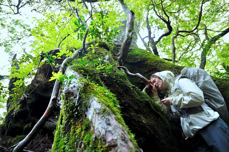 臓器提供を待つ子どもたち、命のともしびを照らす物語 河瀨直美最新作「たしかにあった幻」予告編＆場面写真 - 映画.com