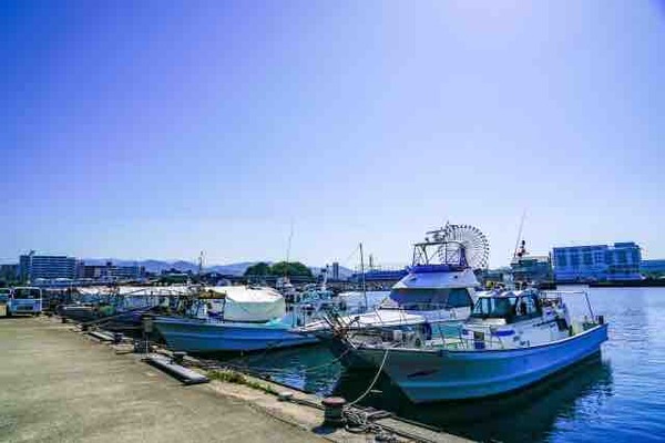 富山市内での撮影も！映画『港のひかり』富山県＆輪島市ロケ地マップ完成！11月14日～全国公開。 - とやま速報