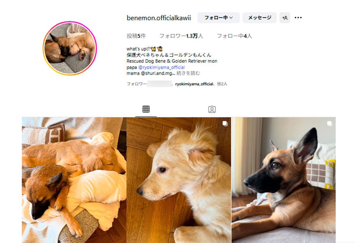 保護犬の写真をアップする三山凌輝と趣里（Instagramの夫婦共同アカウントより）
