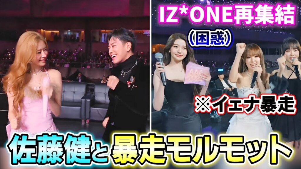 レイと佐藤健が暴走モルモットを一緒に踊る姿が面白い【2025/12/06】