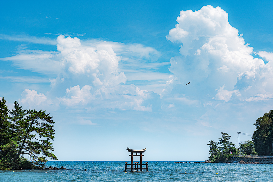 第1回「THE NEW CREATORS」井上翔太さんインタビュー