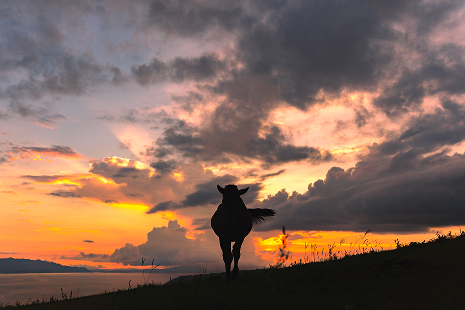 第1回「THE NEW CREATORS」井上翔太さんインタビュー