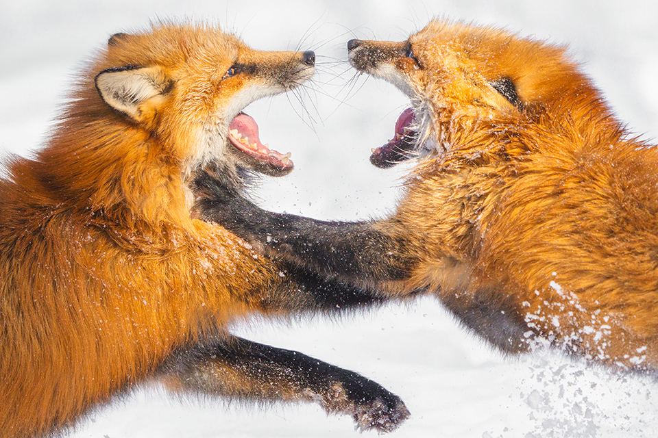 第1回「THE NEW CREATORS」井上翔太さんインタビュー