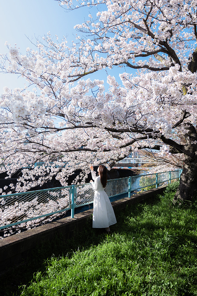 第1回「THE NEW CREATORS」井上翔太さんインタビュー