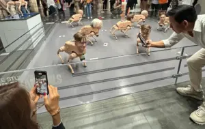 「排泄するロボット犬」がアート・バーゼル・マイアミ・ビーチを席巻。1体1500万円の作品は初日で完売 | ARTnews JAPAN（アートニュースジャパン）