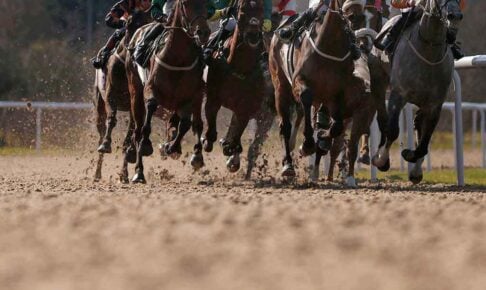 【根岸ステークス2026予想】過去10年のレース結果・配当・血統まとめ　傾向分析に使えるお役立ちデータ