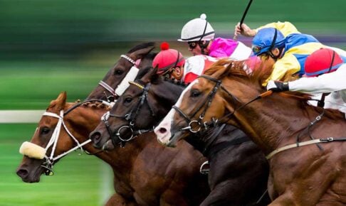 【根岸S／全頭診断】ハイレベルな4歳世代一角に「2.1.0.0」　“何らかの印は必要”1400m巧者の人気薄も穴妙味