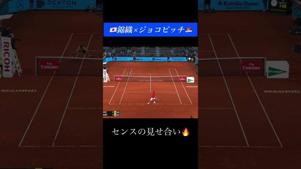 錦織さすがに強すぎる #テニス #tennis #テニス名場面ちゃんねる #shorts