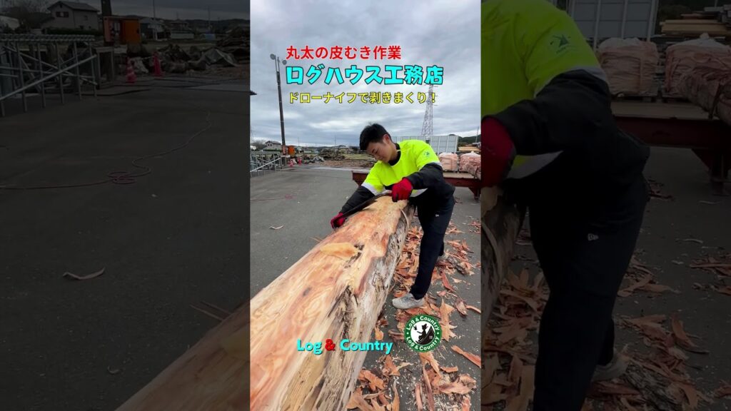 ログハウス 丸太皮むき ドローナイフで剥きまくり編 #ログハウス #loghouse #木の家