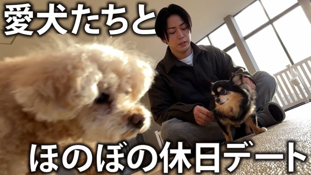 【ほのぼの】愛犬ジェリー＆チビクロとお買い物したりドッグランで遊んだり休日デートで癒されました。