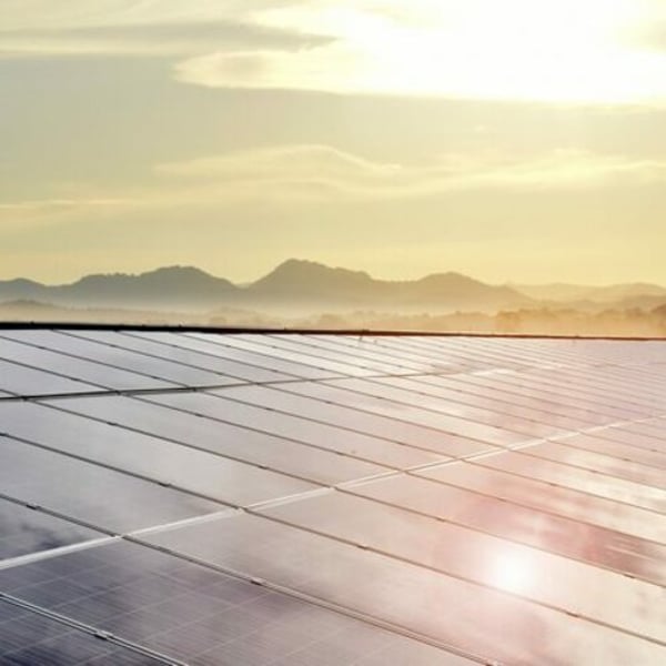 気候行動のためのファッション産業憲章によれば、ファッション業界は気候対策で足並みが揃っていない - FashionNetwork 日本