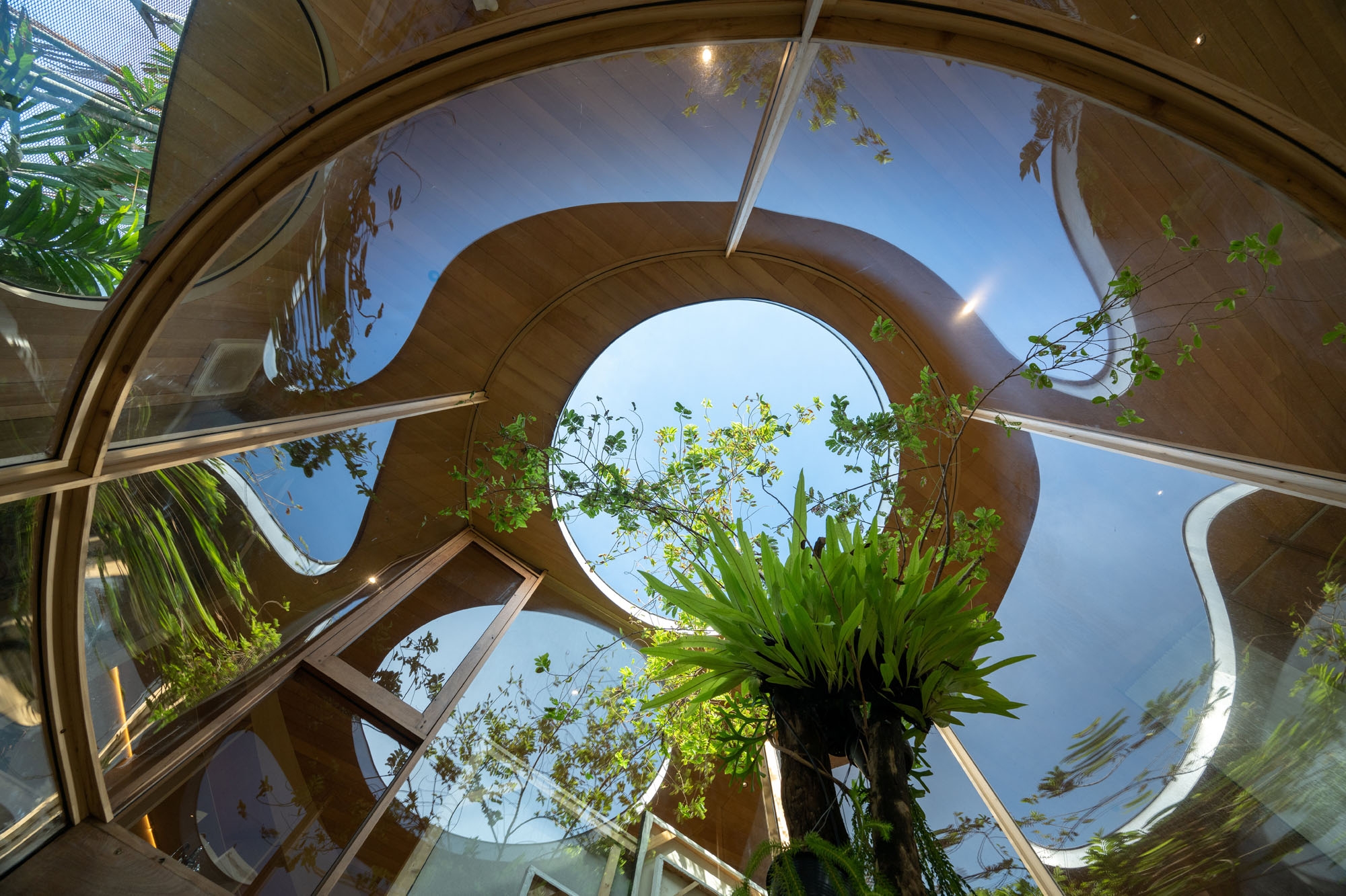 〈テラリウムハウス(Terrarium House)〉Unknown Surface Studio