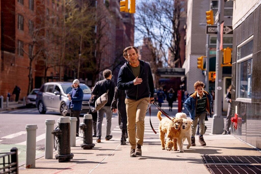 スタンダップコメディが人生を変える？ブラッドリー・クーパー監督最新作『これって生きてる？』本予告映像｜最新の映画ニュースならMOVIE WALKER PRESS