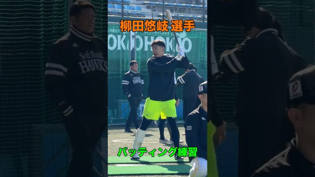 【S組調整のギータ‼️バットを振って振って振りまくる‼️】 #Shorts #福岡ソフトバンクホークス #柳田悠岐 #sbhawks #プロ野球 #キャンプ #タマスタ筑後