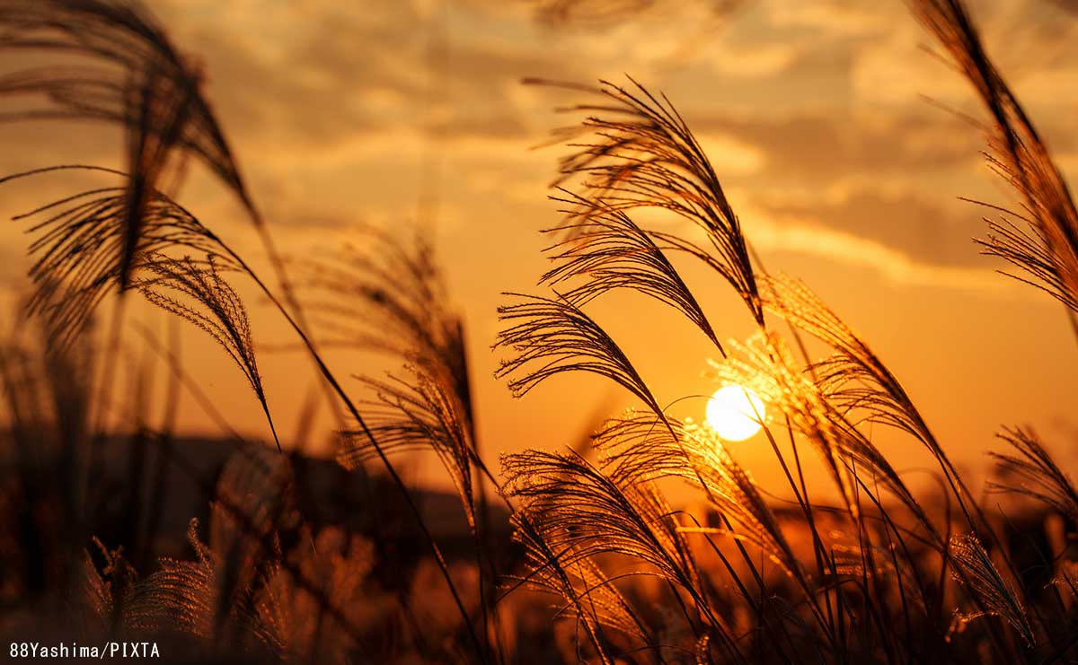 石丸幹二が知った「立ち止まる勇気」　42歳で舞台を降板、休むことで見えた新しい景色