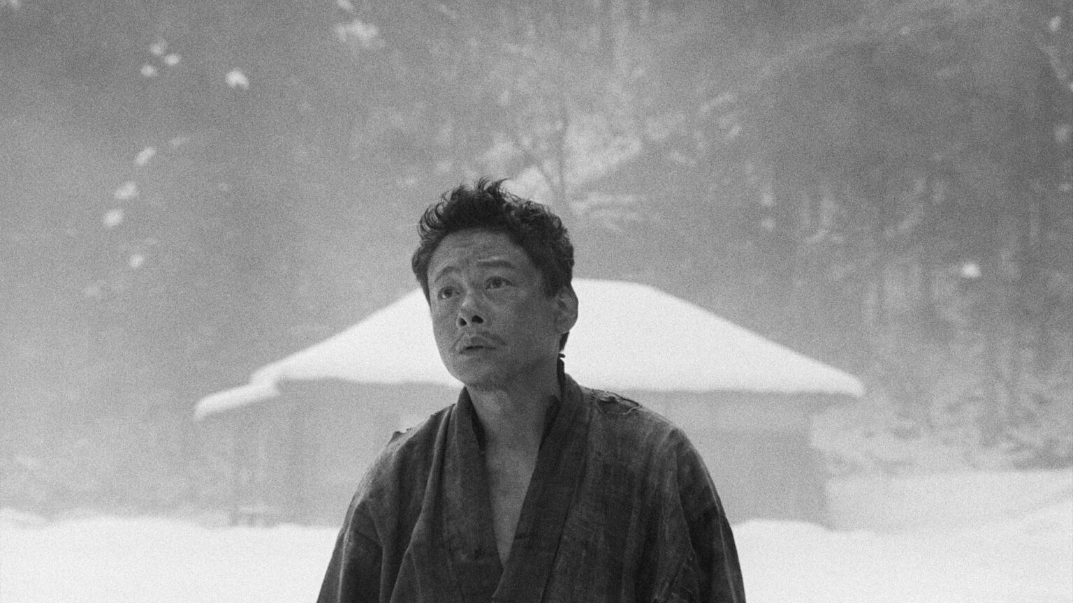 スクリーンで体感したいモノクロ・フィルム。テーマの自然と人の共生は、ジブリ映画の影響も（水上賢治） - エキスパート - Yahoo!ニュース