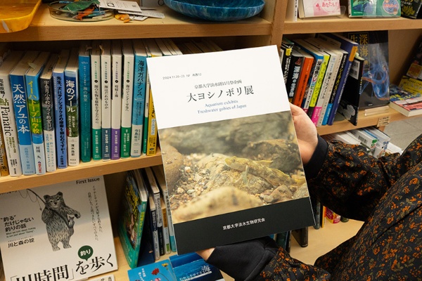 『大ヨシノボリ展記念図録 第66回京都大学11月祭 京都大学淡水生物研究会企画展』 『大ヨシノボリ展記念図録 第66回京都大学11月祭 京都大学淡水生物研究会企画展』