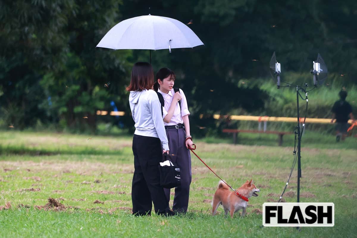 突然現われたトンボの大軍におびえる小芝風花（写真・2024年8月）