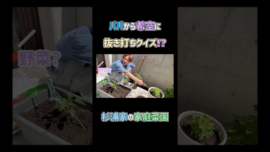 希空に抜き打ちクイズ?🌱 #杉浦太陽 #shorts #杉浦家 #家庭菜園 #希空 #抜き打ち #クイズ 希空に抜き打ちクイズ?🌱 #杉浦太陽 #shorts #杉浦家 #家庭菜園 #希空 #抜き打ち #クイズ