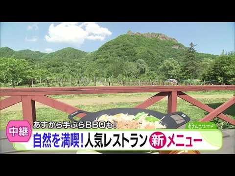 大自然の中で手ぶらBBQも！人気レストラン新メニュー【どさんこワイド179】 2026-06-02