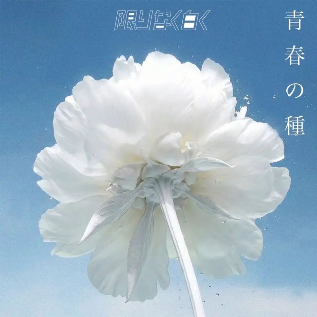 【編集後記/沼落ち版】限りなく白く、まだ見えない場所で根を張る7人 ファンと育てる「青春の種」の行方 – スポニチ Sponichi Annex 【編集後記/沼落ち版】限りなく白く、まだ見えない場所で根を張る7人 ファンと育てる「青春の種」の行方 - スポニチ Sponichi Annex