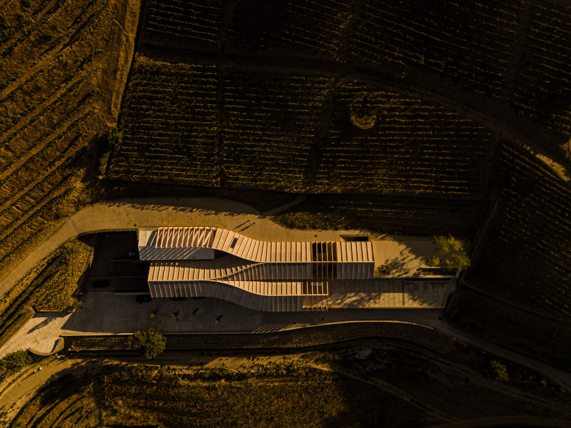 〈キンタ・デ・アドリゴ・ワイナリー(Quinta de Adorigo Winery)〉アトリエ・セルジオ・レベロ(Atelier Sérgio Rebelo)