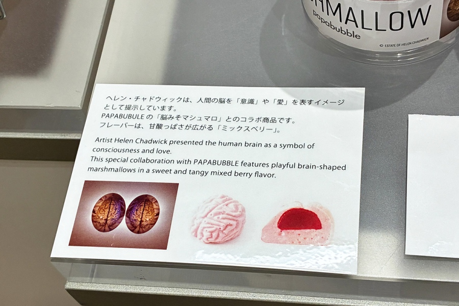 『エロティシズム』（ヘレン・チャドウィック）×キャンディショップ・PAPABUBBLEの「脳みそマシュマロ」（1000円）は中から赤いソースが…