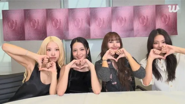 BLACKPINKのファンミーティング巡り国立中央博物館が展示制限、文化体育観光部が監査へ