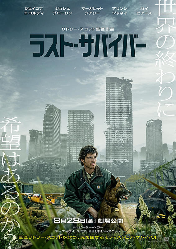 画像11
