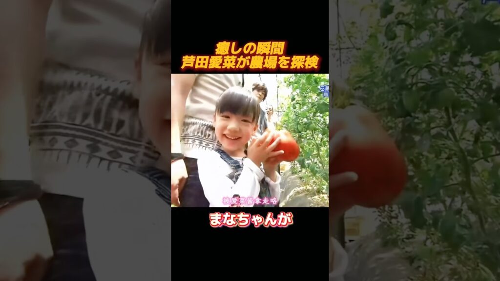 芦田愛菜の農場探検、全編超癒し #面白集 #funny #shorts