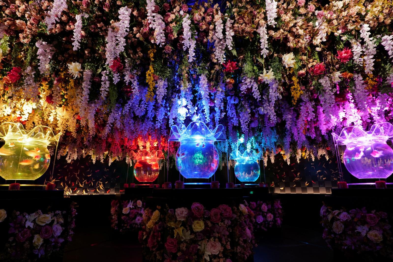 金魚と光のアート「アートアクアリウム展 名古屋2026」中日ビルに没入型の幻想空間｜写真24